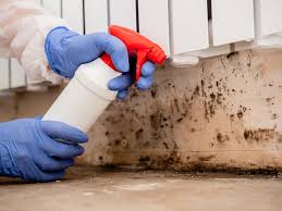 Best Forensic Mold Investigation in Fayetteville, GA